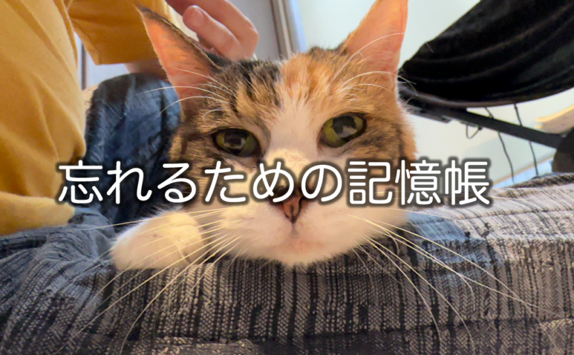 銅メダル・値付け【２０２６年０３月０８日】