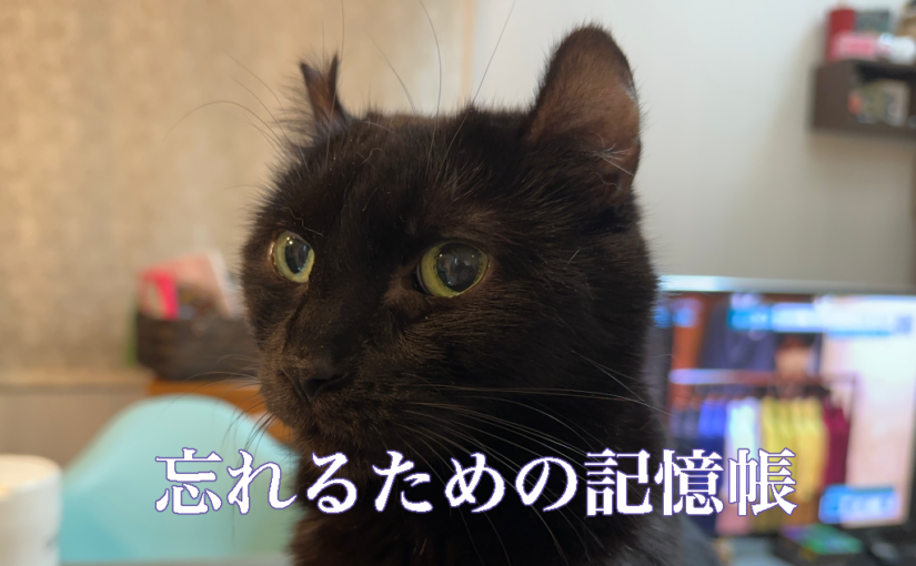 見送った【２０２５年１２月３１日】